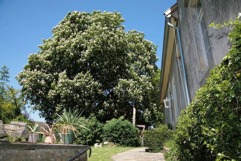 Haus Keppelborg: Zi Antonia Mit Kirchplatzblick Lejlighed Heek Eksteriør billede